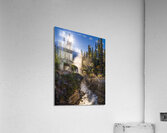 Athebasca Falls Acrylic Print