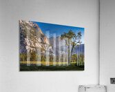 Yosemite Falls Morning  Acrylic Print