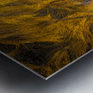 Blue Rocks Kelp Metal print