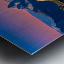 Half Dome from Behind Metal print