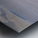 Hopewell Rocks Shoreline Metal print