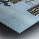 Air Drying Metal print