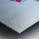 Canadian Flags Metal print