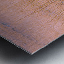 Badlands Cayote Metal print