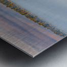 Teton Dam Metal print