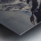 Majestic View Metal print