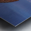 Light Shining on Delicate Arch Metal print