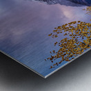 Little Temple Larches Metal print