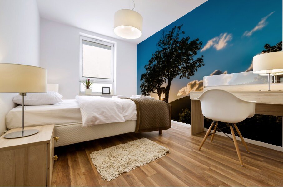 Kancamangus Sunset Mural print