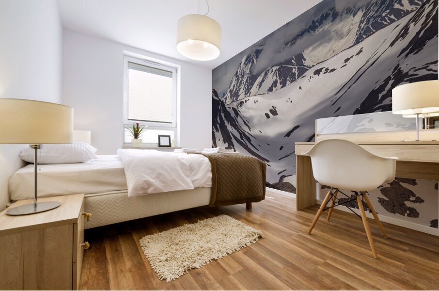 Majestic View Mural print