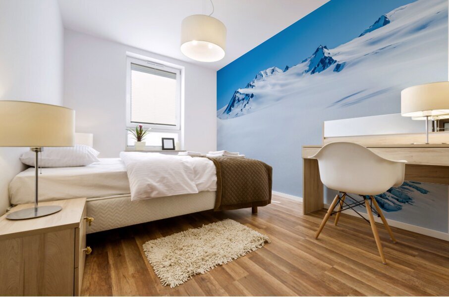 Icefield View Mural print