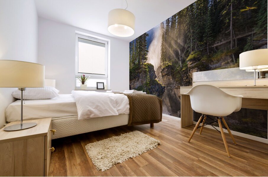 Athebasca Falls Mural print