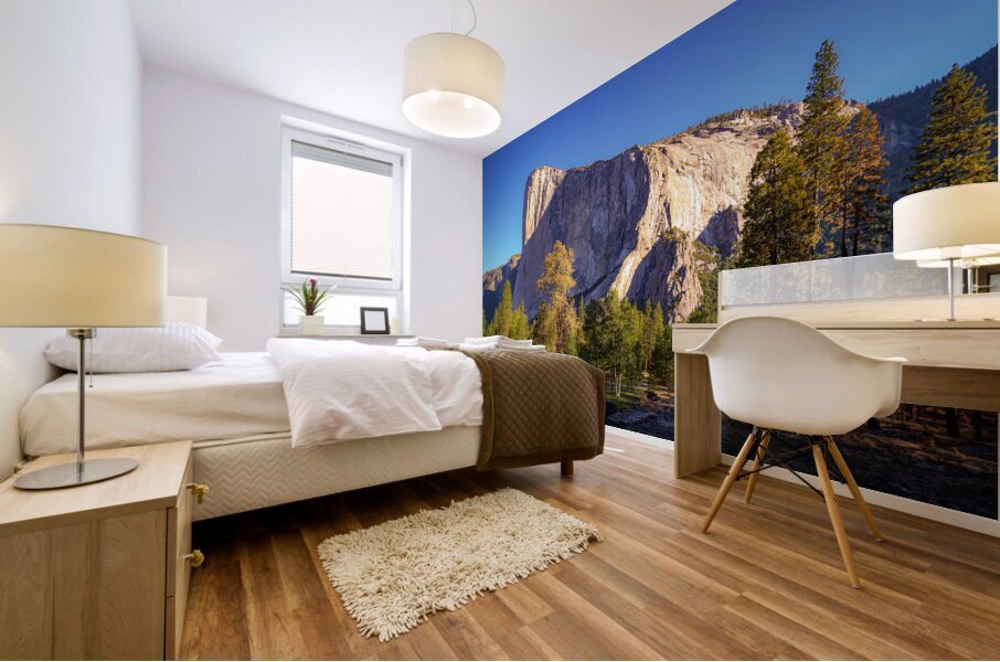 Big Stone Mural print