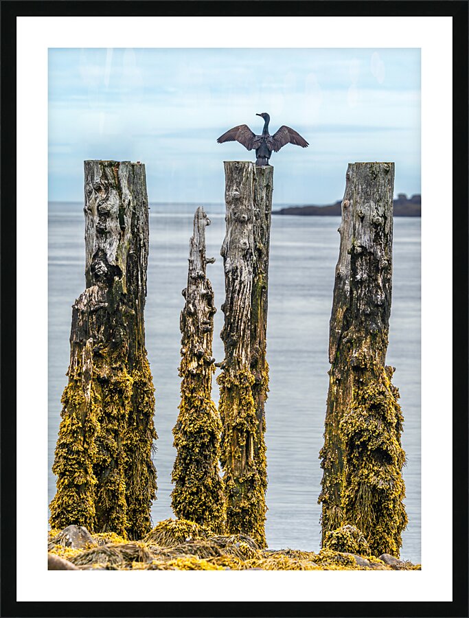 Air Drying Picture Frame Printing