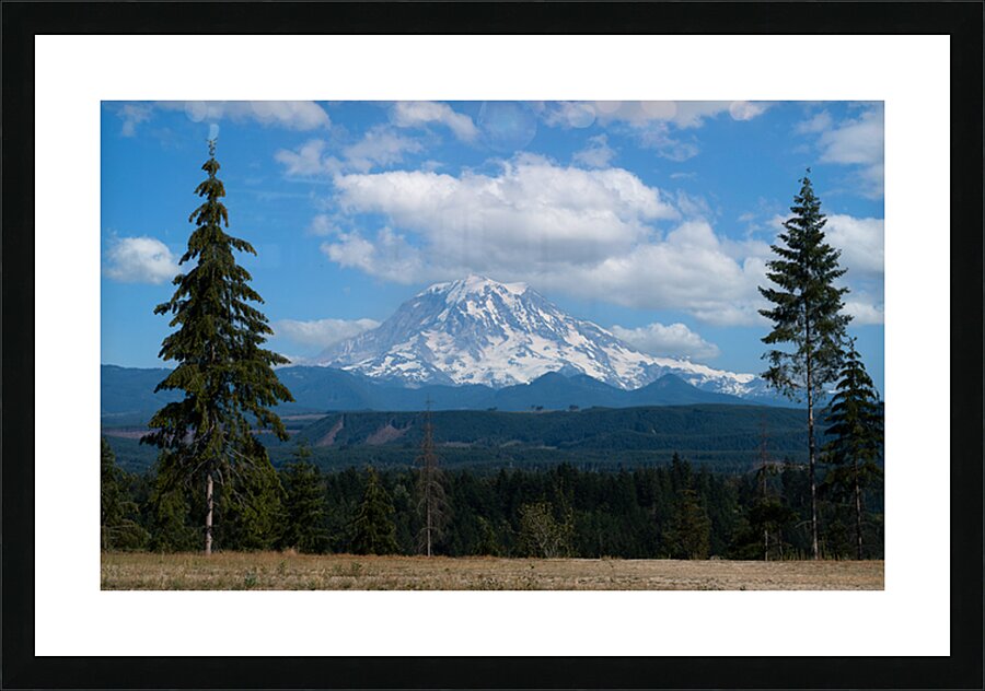 Two Pine Rainier Picture Frame print