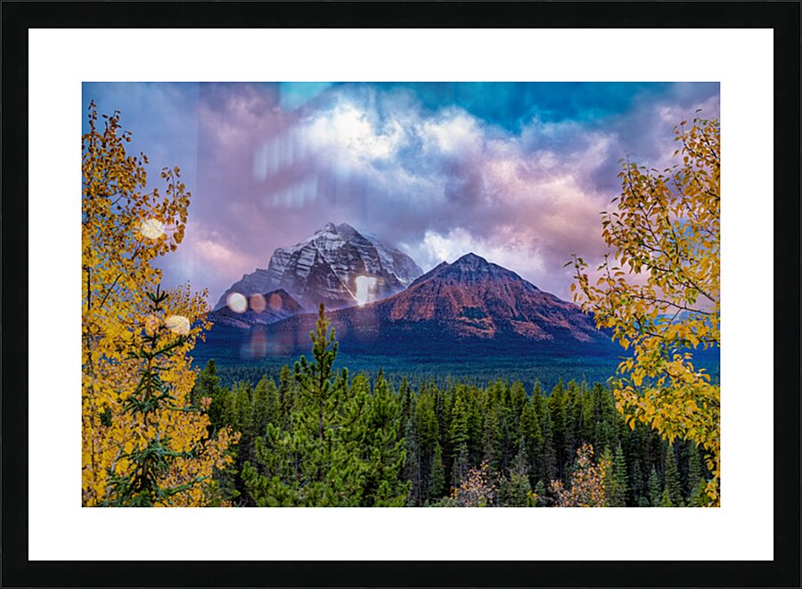 Little Temple Larches Picture Frame print
