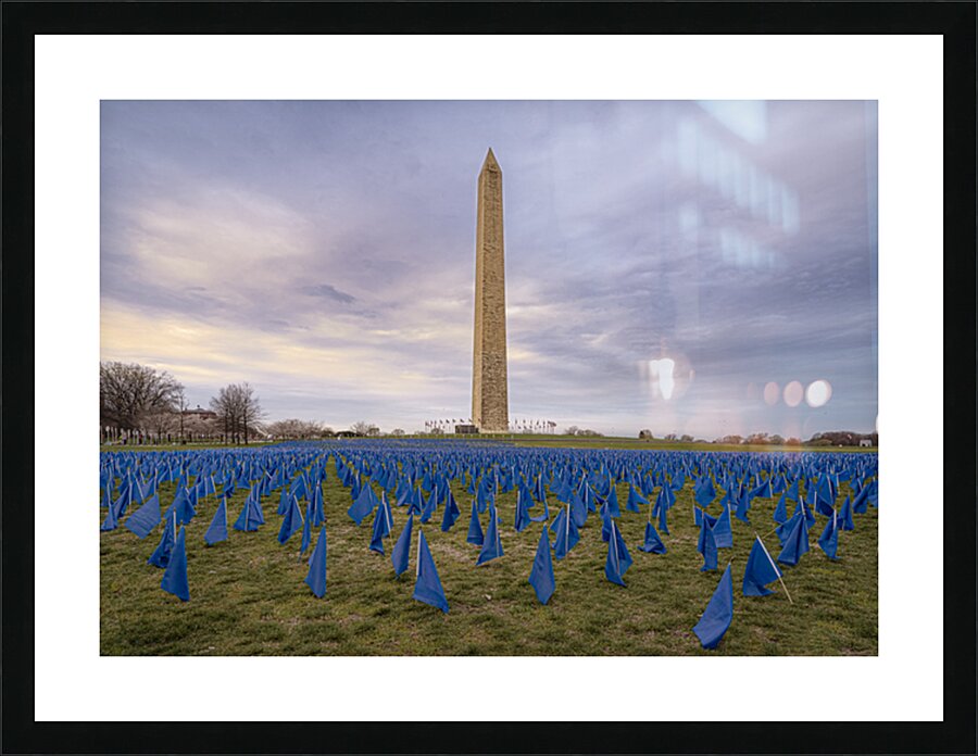 Flag DIsplay Picture Frame print