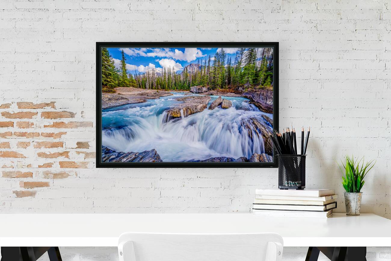 Water Water Water Fall Reproduction