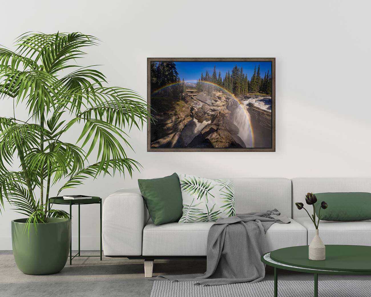 Athabasca Rainbow Reproduction