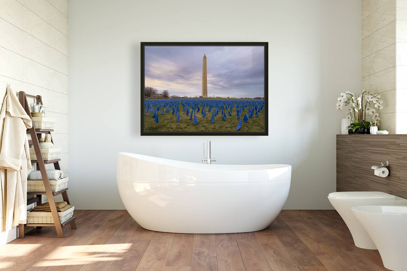 Flag DIsplay Reproduction