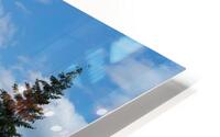 Two Pine Rainier HD Metal print