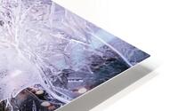 Frozen Lace HD Metal print