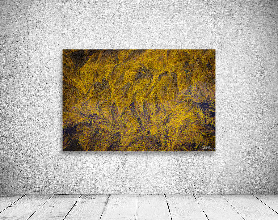 Blue Rocks Kelp Wall Preview