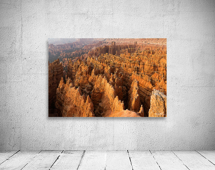 Bryce Hodos Wall Preview