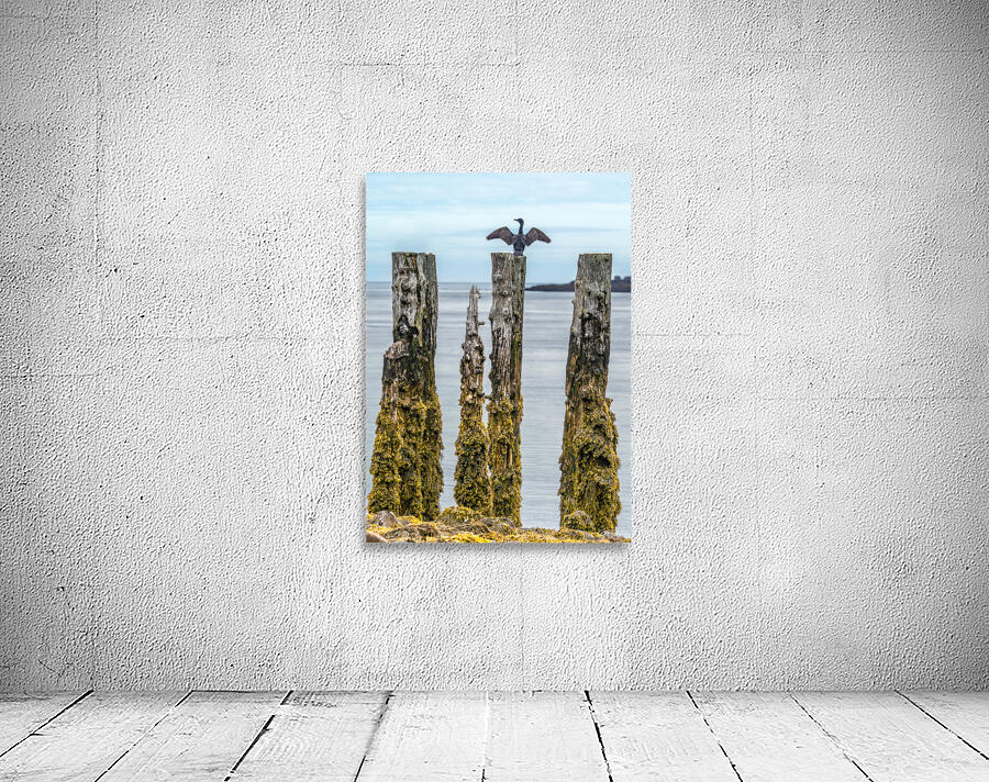 Air Drying Wall Preview