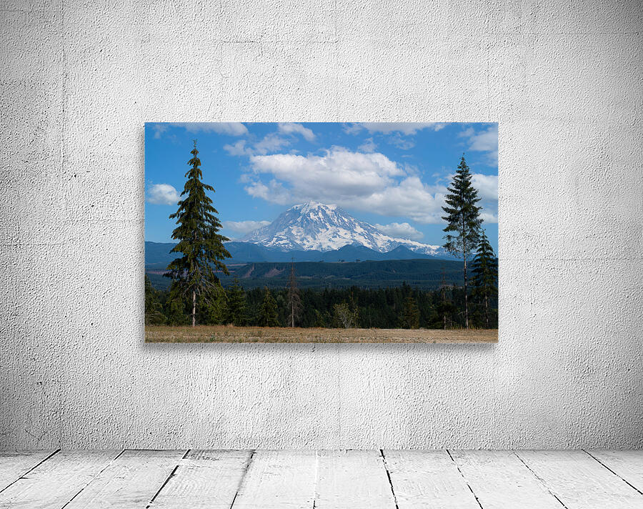 Two Pine Rainier Wall Preview