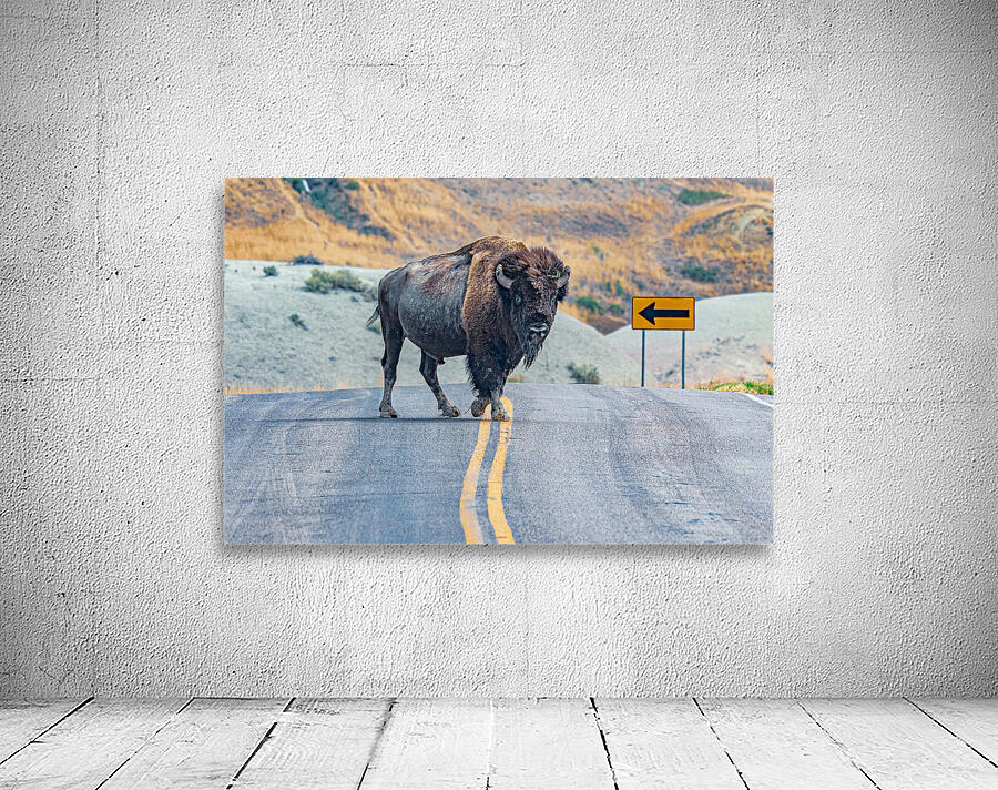 Bison Crossing Wall Preview