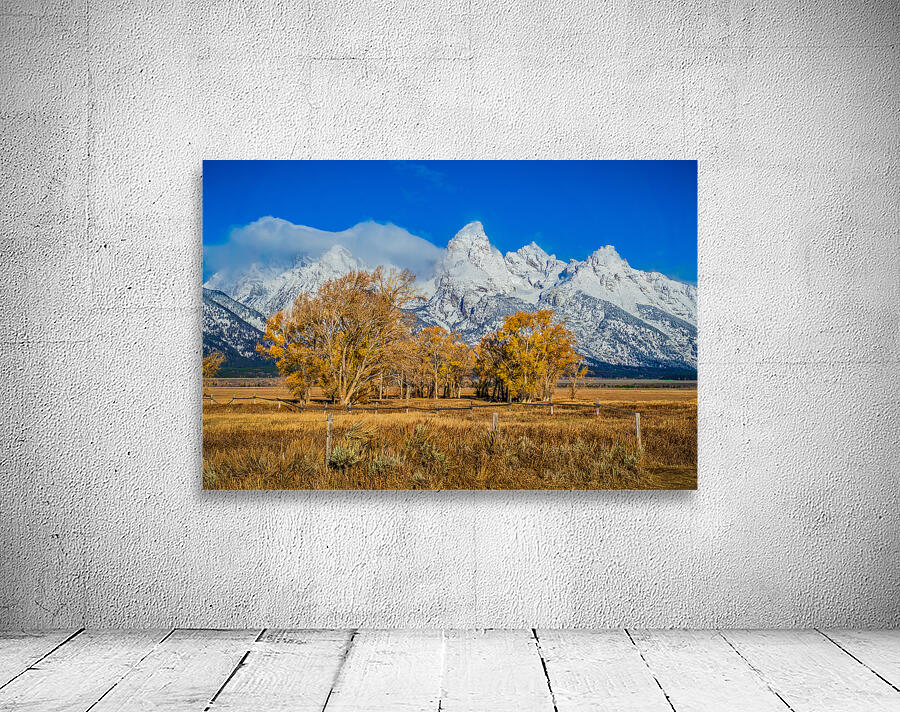 Fall Tetons Wall Preview