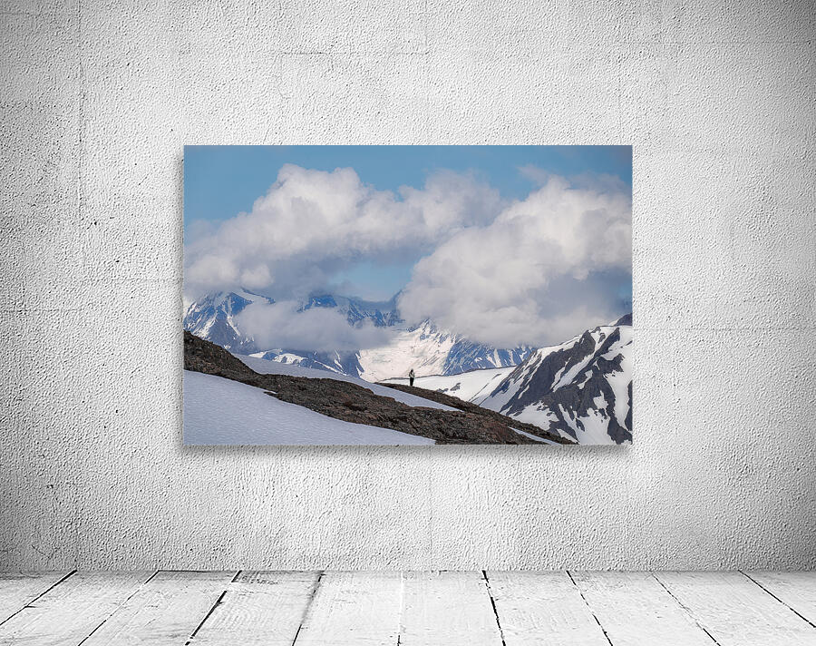 Kenai View Wall Preview