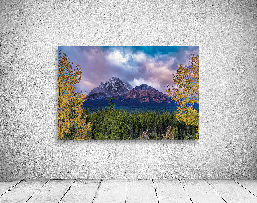 Little Temple Larches Wall Preview