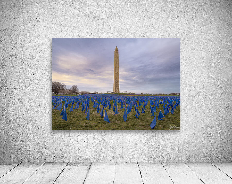 Flag DIsplay Wall Preview