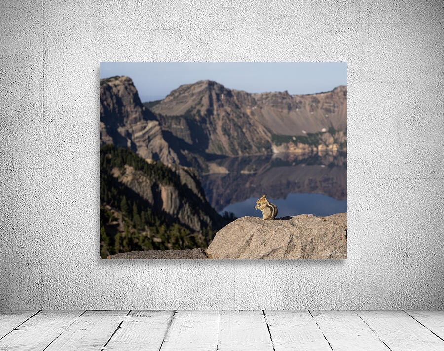 Crater Chipmunk Wall Preview