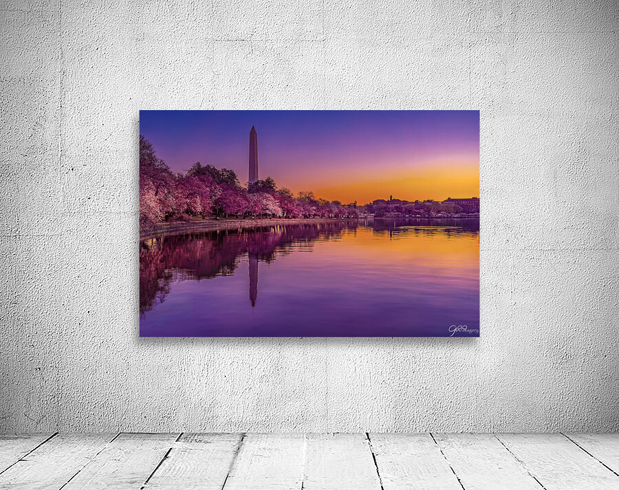 Tide Pool Colors Wall Preview