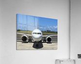 Plane Beauty Acrylic Print