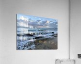 Ocean Beauty Acrylic Print
