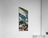 Kauai Fig & Eggs Acrylic Print