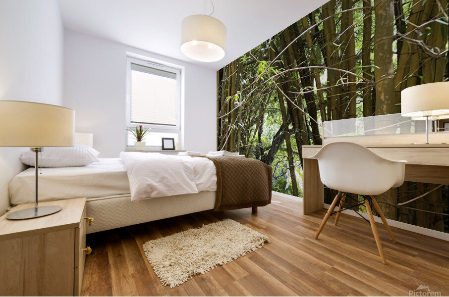 kauai Bamboo Mural print