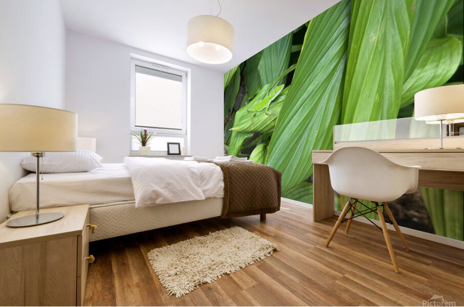 Envious Green Mural print