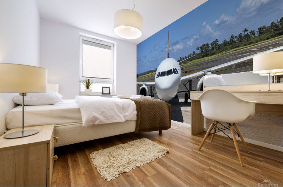 Plane Beauty Mural print