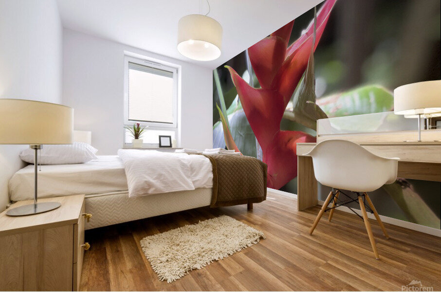 Red Pleasure Mural print