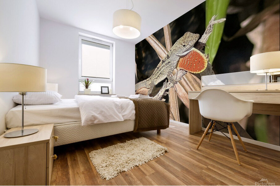 Gecko Challenge Mural print