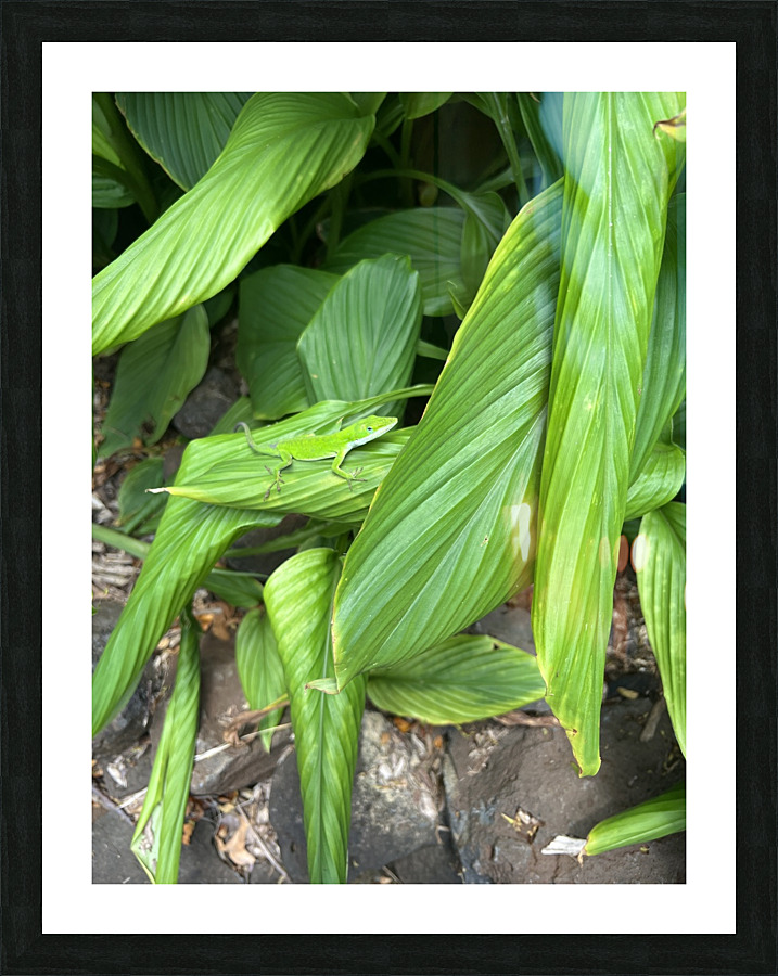 Envious Green Picture Frame print