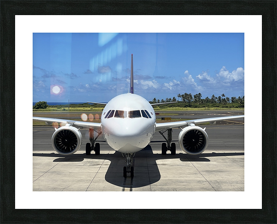 Plane Beauty Picture Frame print