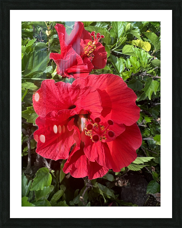 Massive Red Picture Frame print