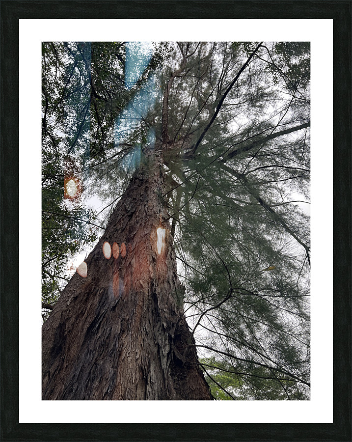 Totally Tree Picture Frame print