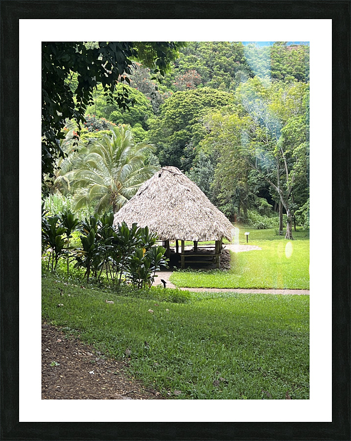 Hut Picture Frame print
